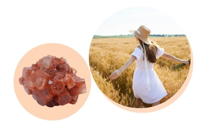 Aragonite Star Cluster meaning